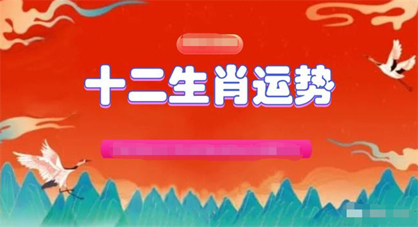 一肖一码，精准资料的解析、解释与落实